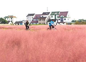 国产乱子,揭秘中国电影市场的独特现象与挑战